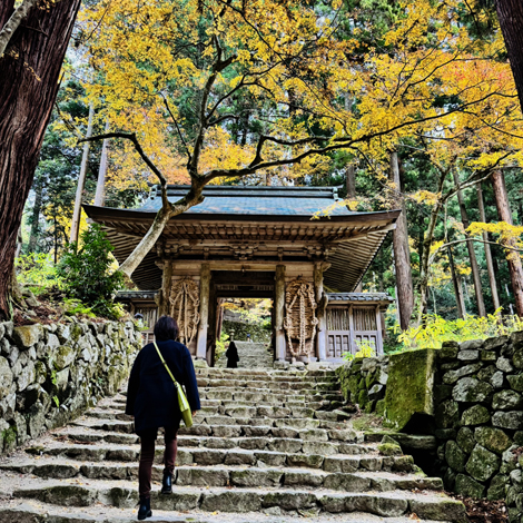 百済寺　日本の紅葉百選