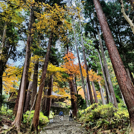 百済寺　日本の紅葉百選