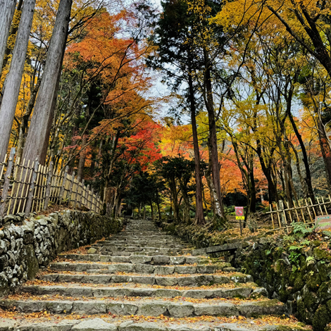 百済寺　日本の紅葉百選