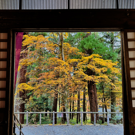 百済寺　日本の紅葉百選