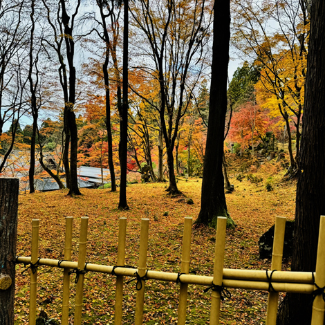 百済寺　日本の紅葉百選