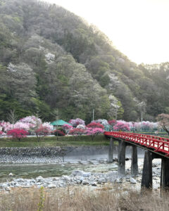 花桃の里