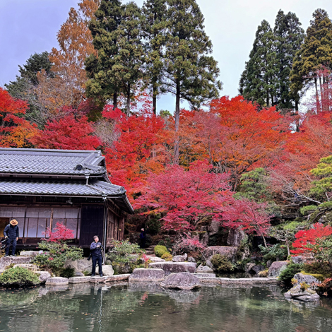 百済寺　日本の紅葉百選