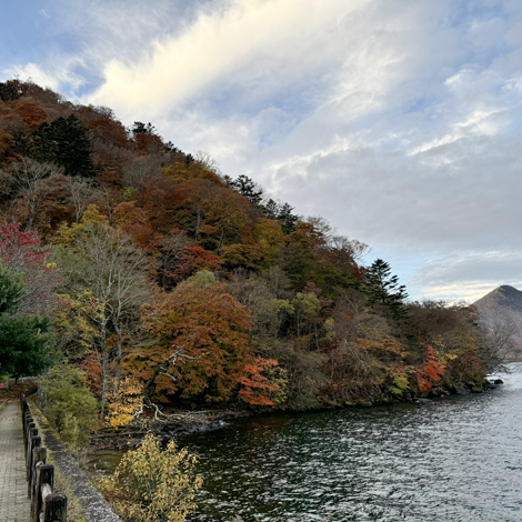 日光の紅葉　半月山展望台