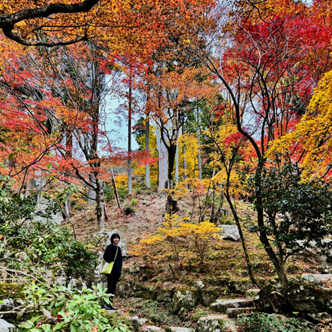 百済寺　日本の紅葉百選