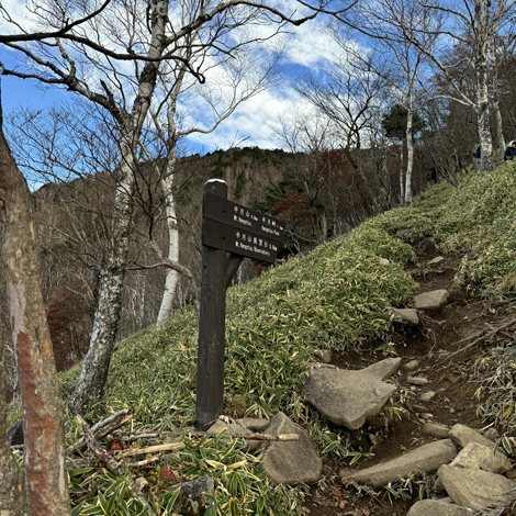 日光の紅葉　半月山展望台から見る景色